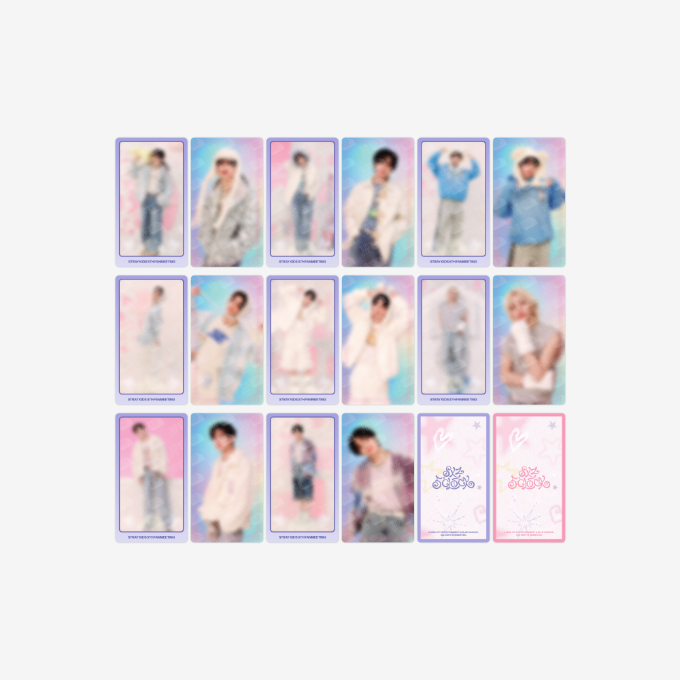 Stray Kids SPECIAL TRADING CARD_1