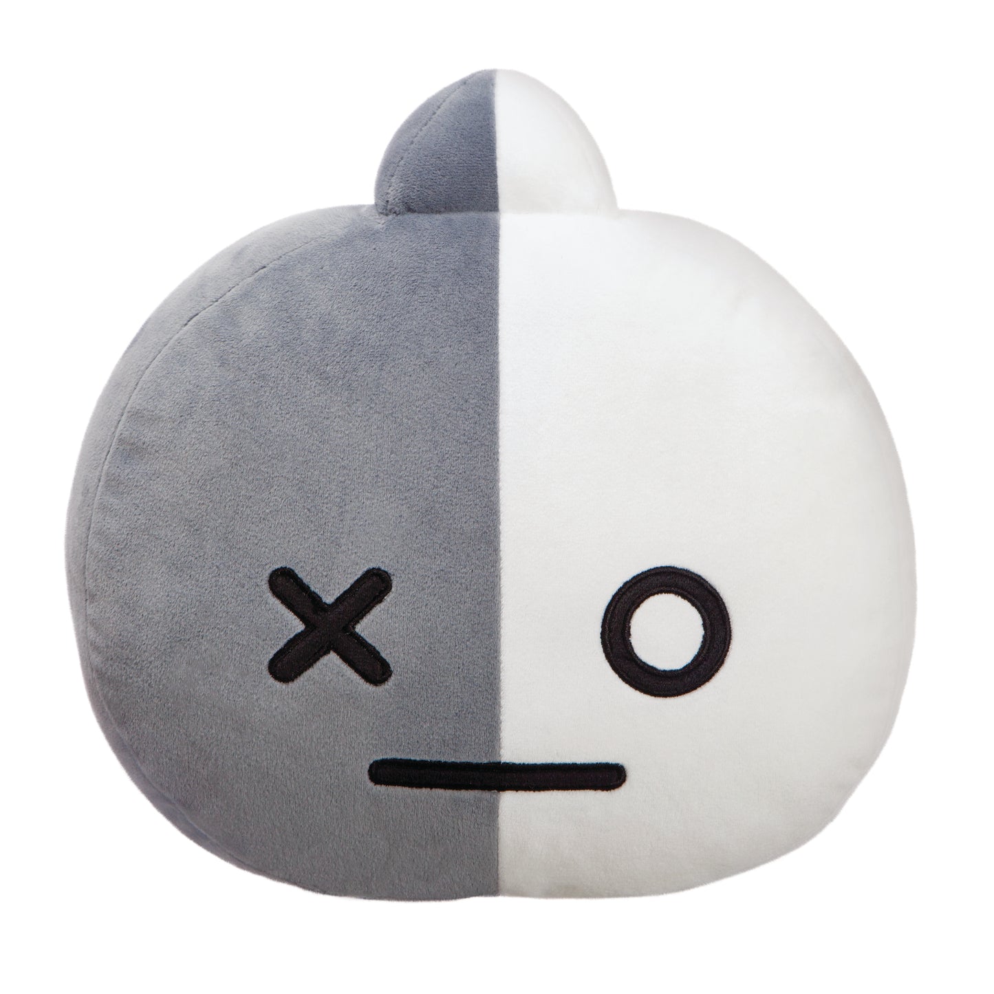 BT21 VAN Cushion