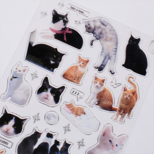 BE ON D Silver and street cat club sticker Deco Sticker Sheet