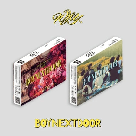 BOYNEXTDOOR - 1ST EP ALBUM WHY.. Infographic