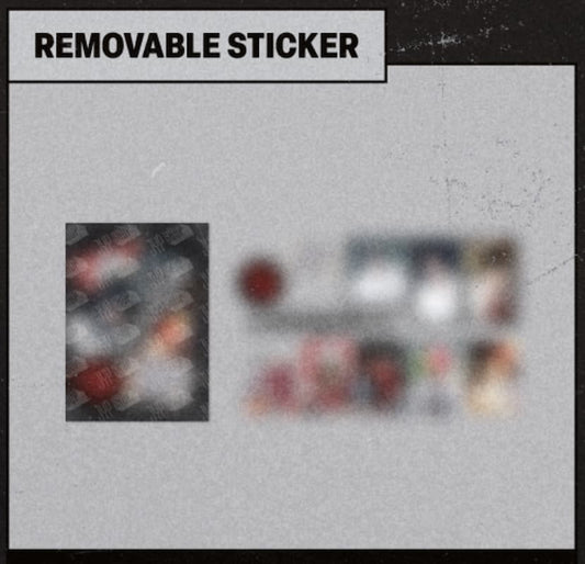 STRAY KIDS POP-UP STORE MERCH REMOVABLE STICKER