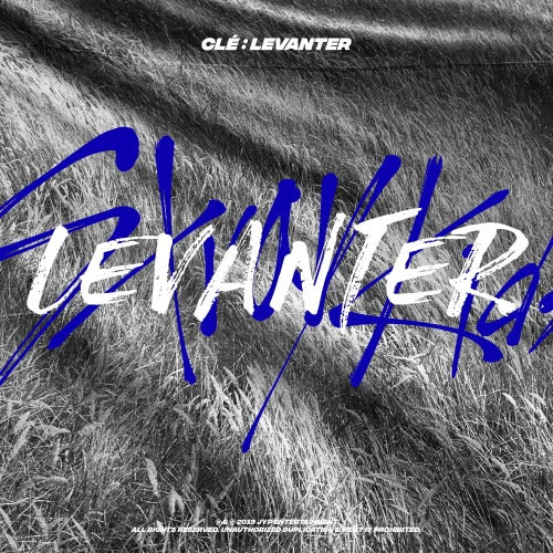 STRAY KIDS Cle LEVANTER